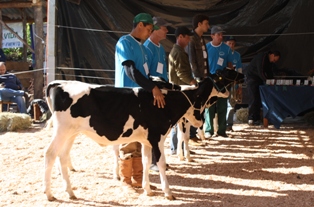 feira 10